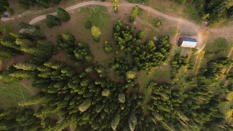 House in the spruce forest at sunset Stock Footage 243698192