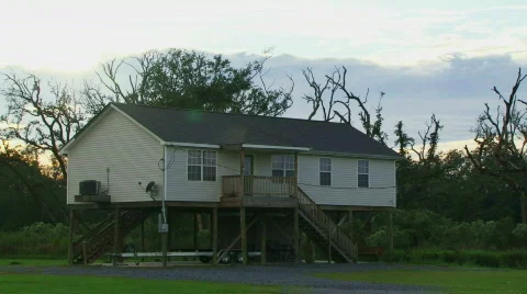 House on Stilts in Louisiana Bayou Stock Footage