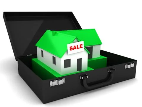 House in a suitcase Stock Illustration