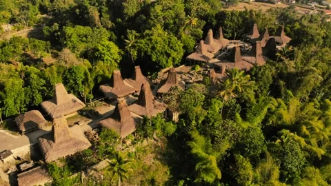 House of Sumba Stock Footage 302962547