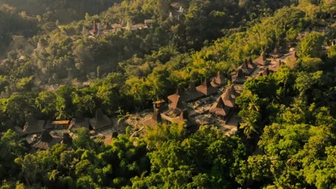 House of Sumba Stock Footage 302963264