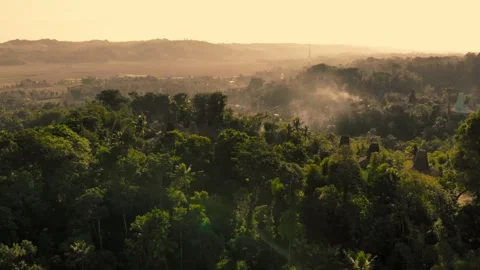 House of Sumba Stock Footage 302982507