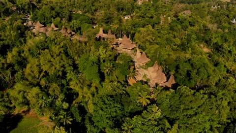House of Sumba Stock Footage 302983172
