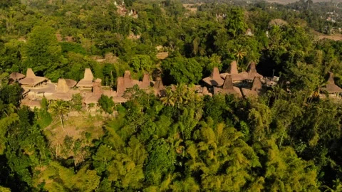 House of Sumba Stock Footage 302983261