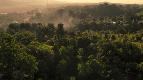 House of Sumba Stock Footage 302983412