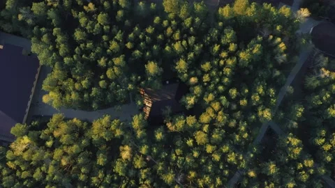 House surrounded by dense forest Stock Footage 172361230