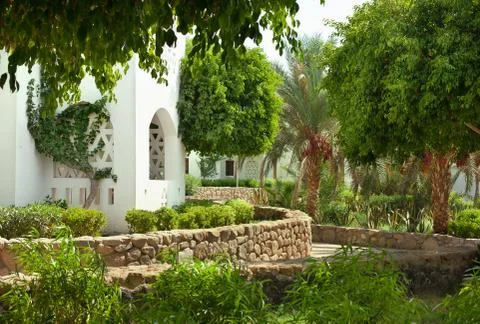 House surrounded with palms Stock Photos