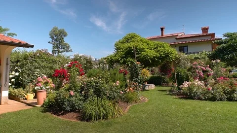 The house is surrounded by thousands of plants   Stock Footage 111007726