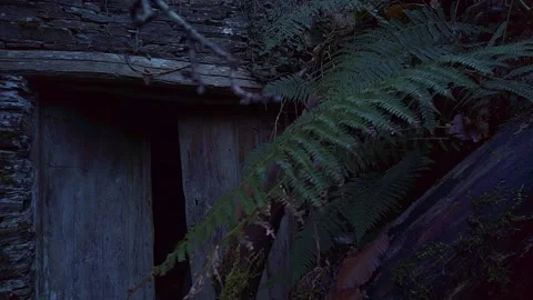 House terror 1 Stockbeeldmateriaal 256088020