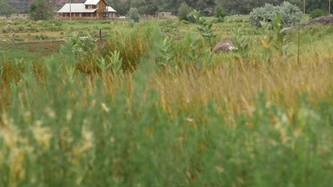 House tilt up 1 스톡 동영상 72994443