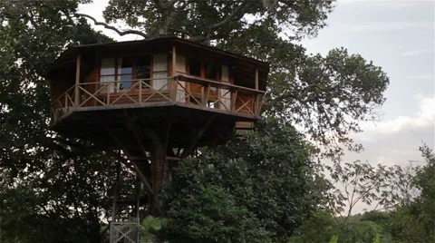 House on the Tree Stock Footage 27524700