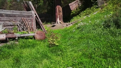 House on a tree Stock Footage 81663916