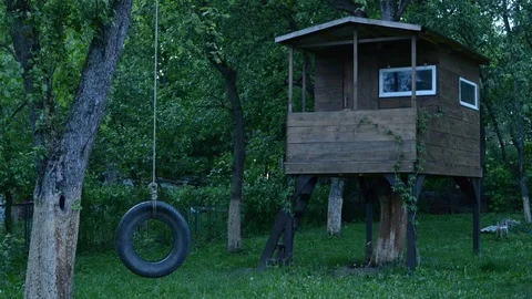 House on tree Stock Footage 82530599