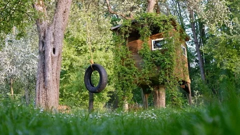 House on tree Stock Footage 89832367