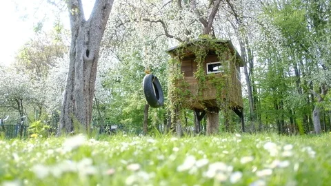 House on tree Video stock 89832416