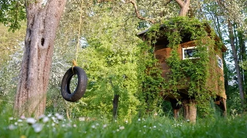House on tree Stock Footage 89832707