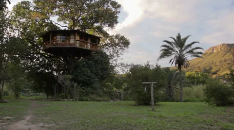 House on the Tree panoramic shot Video stock 27524978