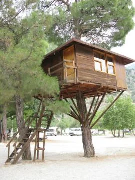 House on tree Stock Photos