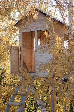 House on a tree Stock Photos