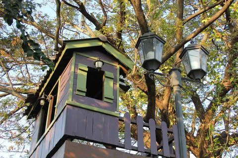 House on tree Foto stock