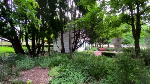 House in trees Video stock 143644605