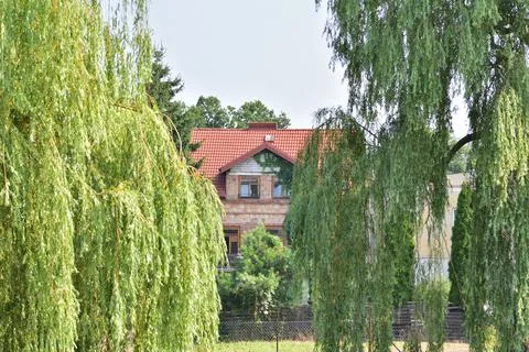 House under construction visible between trees on a sunny day. Summer. Day. Stock Photos