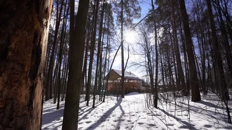 House under construction in the winter forest Stock Footage 104028617