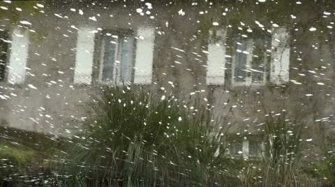 House under water Stock Footage