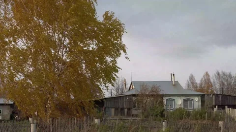 House in village. birch tree. вид на дом. cloudy weather.village. дом Stock Footage