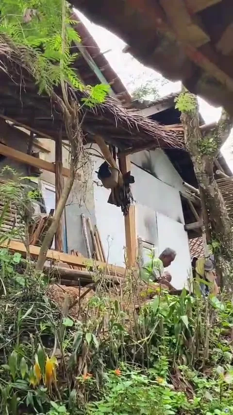 House in the village Stock Footage 307886402