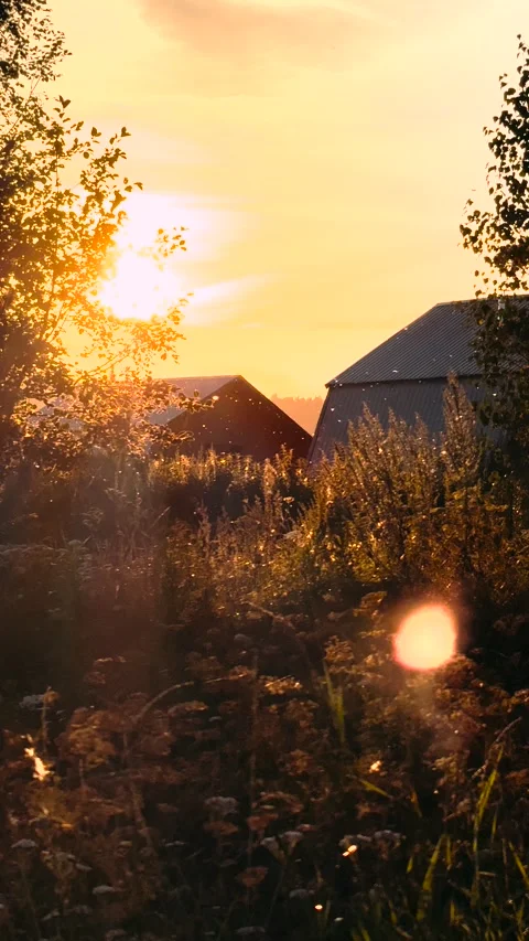 House in the village in the rays of the setting sun	 Stock Footage 285151601