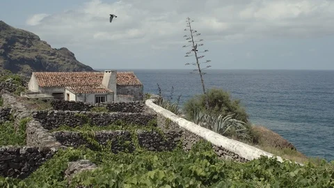 House by a volcanic vineyard Stock Footage 115065691