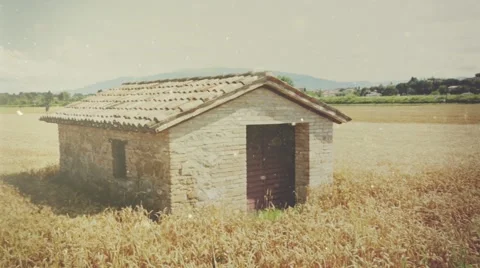 House in wheat field Stock Footage 61500725