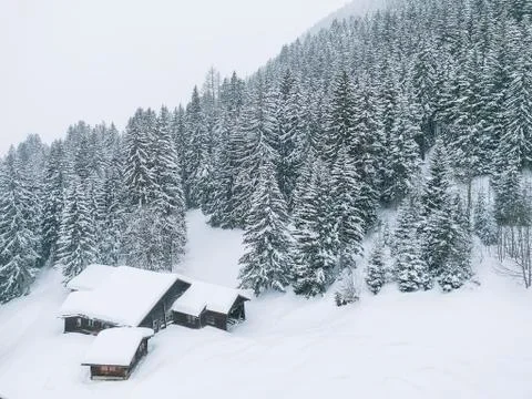 House winter forest Foto stock