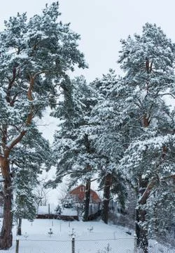 House in winter Фото