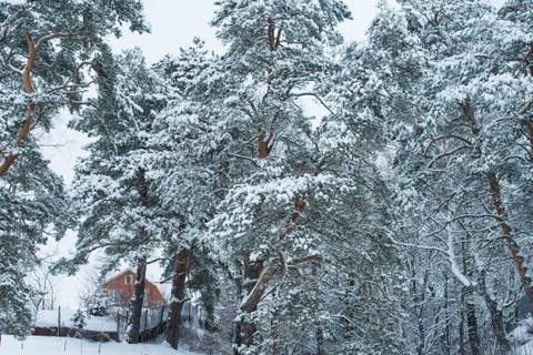 House in winter Stock Photos
