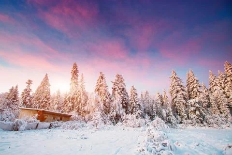 House in a winter Stock Photos