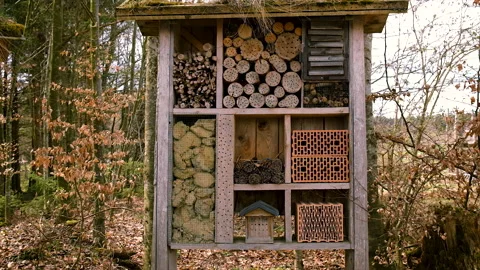 House for wintering insects. Selective focus. Stock Footage 224107772