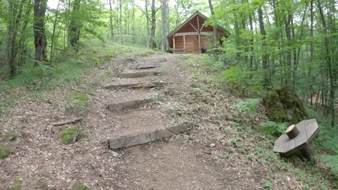 A house in the woods Stock Footage 139930270