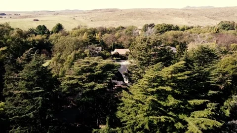 House in the woods Stock Footage 189939078