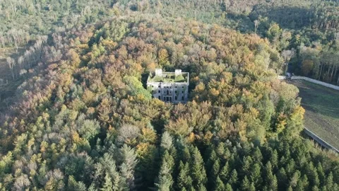House in the woods Stock Footage 291203217