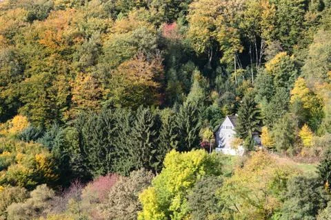 House in the woods Stock Photos
