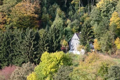 House in the woods Stock Photos