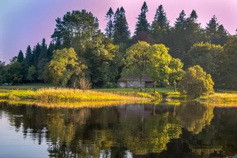 House in the Woods. Stock Photos