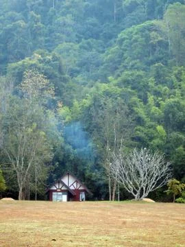 House in the woods Stock Photos