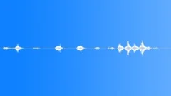 House Wren bird 02Sound Effect