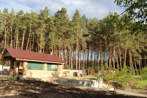 House yard. Stock-Fotos