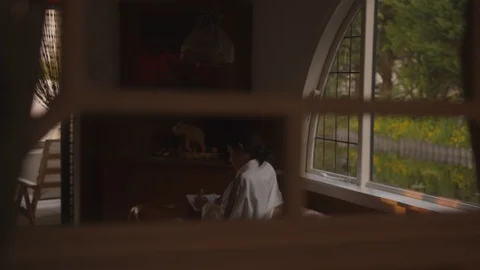 Houseboat Package 1 | mirror reflection woman sitting on couch writing Stock Footage 119585235