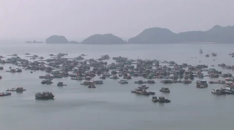 Houseboats Stock Footage 33798191