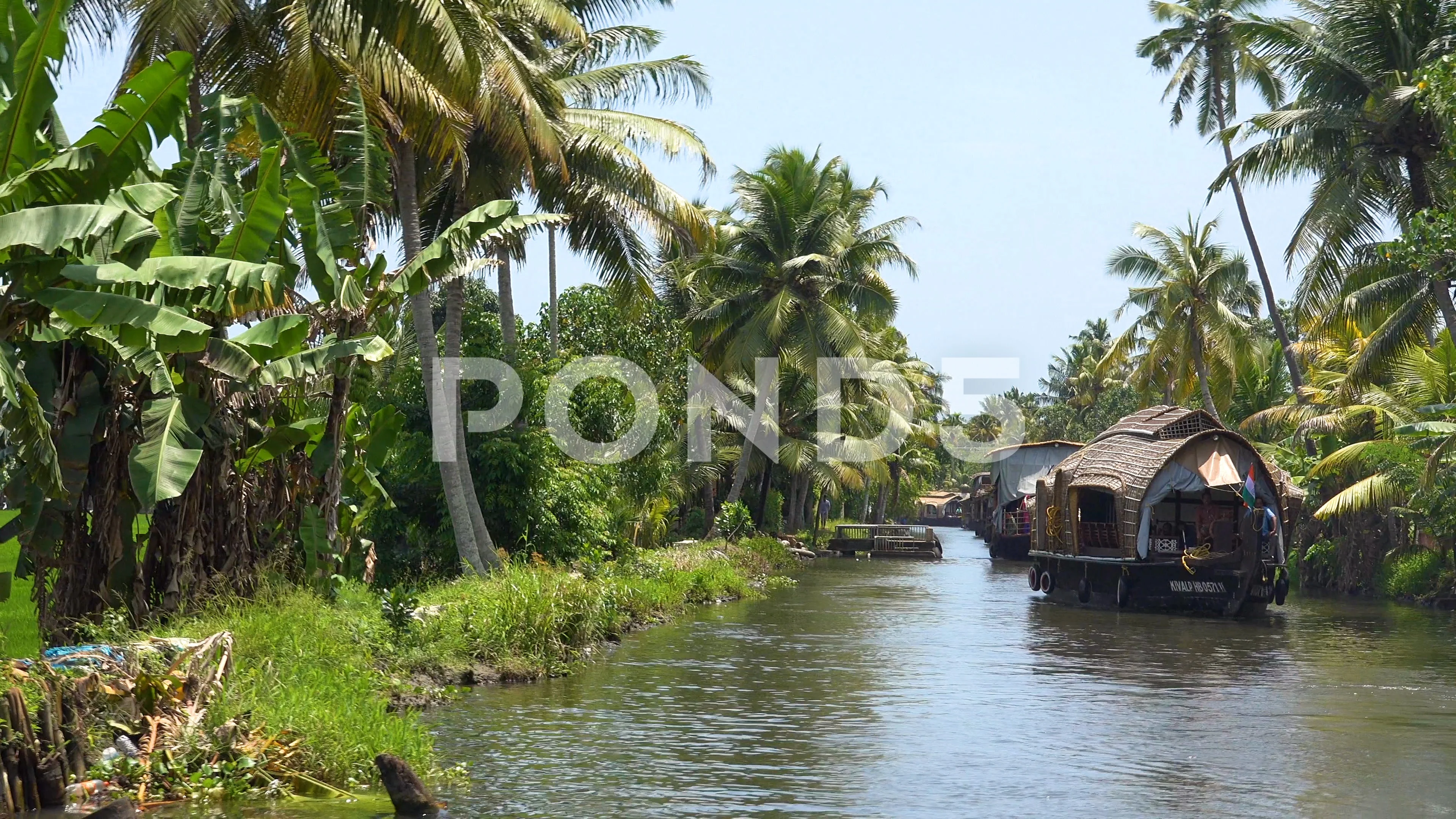 Houseboats travel on the backwaters of Kerala, India.